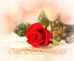 ÐÐ°ÑÑÐ¸Ð½ÐºÐ¸ Ð¿Ð¾ Ð·Ð°Ð¿ÑÐ¾ÑÑ ÐºÐ°ÑÑÐ¸Ð½ÐºÐ¸ Ð±Ð»Ð°Ð³Ð¾Ð´Ð°ÑÑ Ð²Ð°Ñ