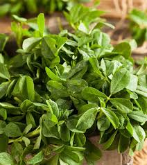 They are not only good for your hair health but also for your overall body. 6 Best Benefits Of Fenugreek Leaves For Skin Hair Health