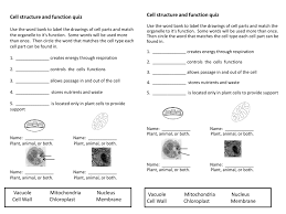 A cell has several components that perform different functions. Cell Structure And Function Quiz