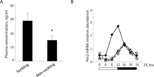 Tissue Specific Changes In Molecular Clocks During The Transition From Pregnancy To Lactation In Mice1
