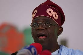 Southeast excited by Tinubu's rejig of SEDC inaugural board, says Igbo  think-tank