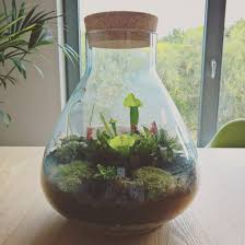 Reddit The Front Page Of The Internet Terrarium Growing Internet