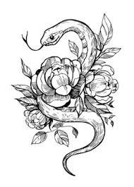 Spring grass border with early spring flowers and butterfly isolated on white background. Premium Vector Hand Drawing Snake Set Wildlife Snakes Tattoo Vector Design Isolated