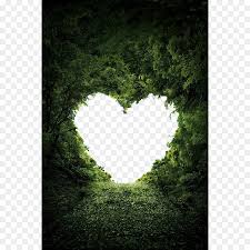 Heart Nature Valentine S Day Love Wallpaper Love Heart Pattern Background Background Patterns Love Png