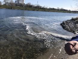 314 (german for by the beautiful blue danube), a waltz by the austrian composer johann strauss ii, composed in 1866. Wiener Reviere Die Neuen Donau Wien Anglerforum