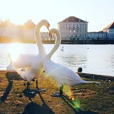 Gefallt 1 369 Mal 33 Kommentare Munich Lifestyle Munichlifestyle Auf Instagram Good Morning Munich Schloss Nymphen Instagram Munich Instagram Posts