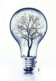 Artistic Bird On Tree Drawing Lamp Park Undefined Art Artistic Macro Funny Lamp Tree Birds People Cool Art Drawings Painting Art Projects Art Drawings
