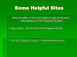 Ppt The Digestive System Powerpoint Presentation Free Download Id 3093436 Explain the processes of digestion and absorption. slideserve