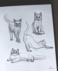 Madli Madliart Pencil Sketches Www Madli Eu Kitten Drawing Art Sketchbook Cat Drawing
