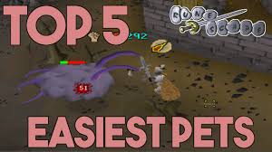 This top 10 includes the bossing, skilling and. Top 5 Easiest Pets To Get In Osrs Youtube
