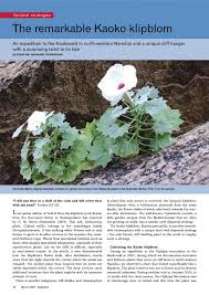 Image result for Stemodiopsis rivae