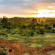 Laikipia county, kenya, is making great strides and has ambitious plans to address climate change. The 15 Best Things To Do In Laikipia County 2021 With Photos Tripadvisor