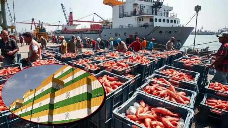 India Shrimp Exports: अमेरिका-चीन ने मिलकर करा दी भारत की 'झींगालाला', भरभरकर भेजे गए टैंकर, टूटे सारे रिकॉर्ड - indias shrimp exports create history with demand from us and china ...