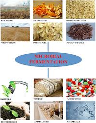 Malaysia's climate is categorized as hot, wet and rainy throughout the year, because it is located near the equator and surrounded almost by the sea. Agro Industrial Wastes And Their Utilization Using Solid State Fermentation A Review Bioresources And Bioprocessing Full Text