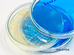 Kementerian sumber manusia), abbreviated mohr, is a ministry of the government of malaysia that is responsible for skills development, labour, occupational safety and. Ministry Of Human Resources Faqs Dated 31 March 2020 Rahmat Lim Partners