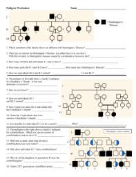 Pedigree Worksheet Key