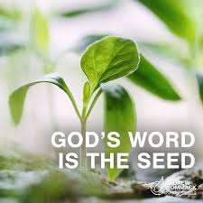 Image result for images Blessings and Miracles Andrew Wommack