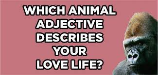 Which Animal Matches Your Personality