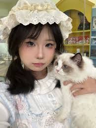 爆炸乖乖崽on X: 可以把乖崽和小猫打包带走t.co2y7V015KtA  X