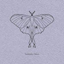 Pin By Nicole Packard On Raindrops On Roses Luna Moth Tattoo Moth Tattoo Moth Drawings