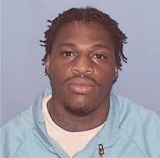 ᐅ Illinois Criminal Records 2009-2026