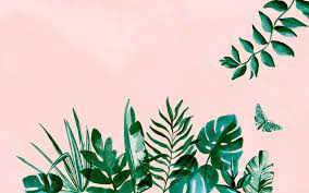Transfer yourself into the clouds. Aesthetic For Laptop Wallpapers Top Free Aesthetic For Laptop Backgrounds Wallpaperaccess