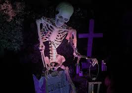 نتیجه جستجوی لغت [haunts] در گوگل