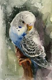 My Birdie Suluboya Sanati Sanatsal Resimler Cizimler