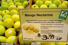 Mango Nectarine Fruit Desserts Fruit Nectarine
