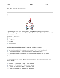 Translation occurs when the rna is used to create an amino acid chain. Transcription And Translation Coloring Worksheet Answer Key