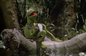 Since the filming, the movie has received (to date) nearly a dozen selections/nominations in numerous film festivals, even. 1979 Best Original Song That Time Norma Rae Squashed Kermit The Awards Connection