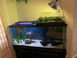 This above tank basking area for turtles is effortless to make and great for those. Turtle Basking Area Long Live Your Turtle
