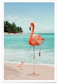 Flamingos are one of the most interesting types of animals in the coloring for a flamingo ranges from various shapes of pink all the way to a crimson red. Wannabe Flamingo Poster Juniqe