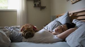 10 Tips For Staying Awake When You Are Too Sleepy