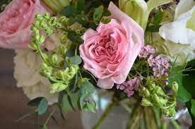 Scranton pennsylvania disney vacation club travel inspiration pennsylvania mountains traveling by yourself university of scranton pennsylvania travel undivided back postcard lackawanna avenue scranton, pa. Mccarthy Flowers