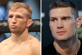 Get ufc fight results and career results information at fox sports. Ufc Fighters Stephen Thompson And Tj Dillashaw Battle It Out In Dress Clothes Wwd