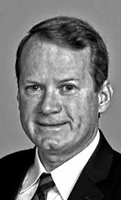 Momma swan welcomes feathered babies