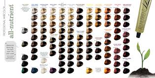 All Nutrient Hair Color Chart Hairsjdi Org