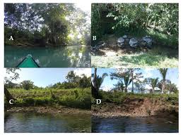 Water Free Full Text Landscape Drivers And Social Dynamics Shaping Microbial Contamination Risk In Three Maya Communities In Southern Belize Central America Html