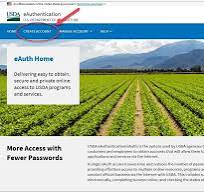 eAuth Level and and Level 2 Self Verification Instructions