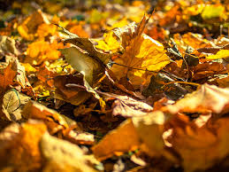 Write a review to rate business services. The Official Website Of The City Of Garfield Nj Public Works