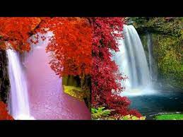 Friends, specially for you, we have prepared this collection of whatsapp dp. 2020 Beautiful Picture Of Nature Nature Dp For Whatsapp Nature Pictures Nature Images Youtube