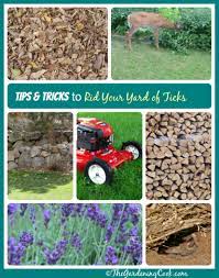 Here's how you can use that to your advantage. Get Rid Of Ticks In The Yard Easy Steps To A Tick Free Garden