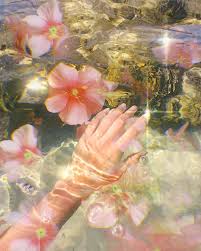 See more ideas about pastel wallpaper, wallpaper, aesthetic wallpapers. 330 Flower Aesthetic Ideas Plants Flower Aesthetic Plants Are Friends