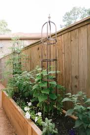 Check out these awesome backyard landscaping ideas along fences to complete your space. Kitchen Garden Vs Vegetable Garden Gardenary