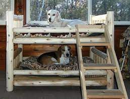This bunk bed for dogs has a modular structure that allows the changing needs, such that you can use it as 2 beds, plus you can also it as a pet dogs want to feel comfortable on their bed so they need proper space to cuddle, and due to this reason, you must select a bed that is large and comfortable. Pin By Ximena Soto On Dog Beds Next To Your Bed Diy Dog Bed Designer Dog Beds Dog Bunk Beds