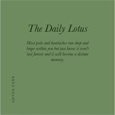 Pin On The Daily Lotus