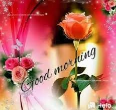 pin by wyana simmons on happy friday good morning roses happy friendship day good morning