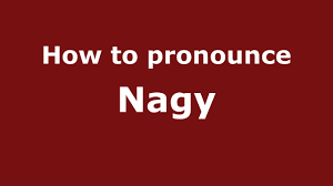 Below is the uk transcription for 'espionage' : How To Say Or Pronounce Nagy Pronouncenames Com
