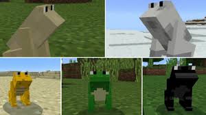 So, which states allow for raccoon domestication? Pet Mods For Minecraft For Android Apk Download